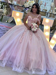 Exquisite One-Shoulder Ball Gown with 3D Floral Lace Appliques Pink Tulle Princess Dress for Quinceanera & Sweet 16