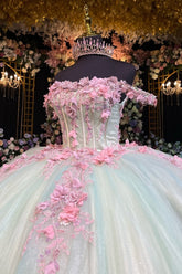 Off-Shoulder Ball Gown 3D Pink Floral Pleated Sparkle Tulle Quinceanera & Sweet 16 Birthday Party Dress
