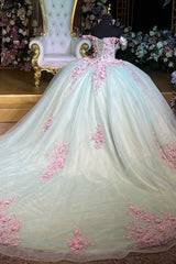 Off-Shoulder Ball Gown 3D Pink Floral Pleated Sparkle Tulle Quinceanera & Sweet 16 Birthday Party Dress