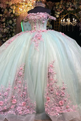 Off-Shoulder Ball Gown 3D Pink Floral Pleated Sparkle Tulle Quinceanera & Sweet 16 Birthday Party Dress