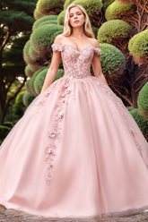 Off-Shoulder Ball Gown with 3D Floral Appliques & Beaded Lace-Up Detail Pink Tulle Quinceanera Dress for Sweet 16 & Birthday Celebrations