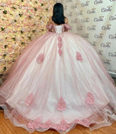 Exquisite Off-Shoulder Ball Gown Long Sleeve Lace Applique Pink Tulle Quinceanera Dress with Sweep Train for Sweet 16