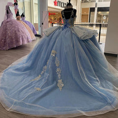 Exquisite Sky Blue Tulle Princess Ball Gown Strapless Sweet 16 & Quinceanera Dress with Floral Lace Appliques and Beading