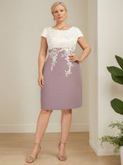 Plus Size Knee-Length Mother of the Bride A-Line Dress with V-Neck and Lace Appliques