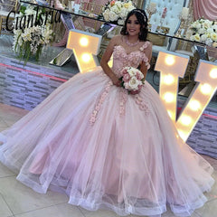 Exquisite One-Shoulder Ball Gown with 3D Floral Lace Appliques Pink Tulle Princess Dress for Quinceanera & Sweet 16