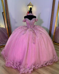 Off-Shoulder Ball Gown with 3D Floral Lace Appliques Pink Tulle Quinceanera Dress for Sweet 16 & Princess Evening Parties