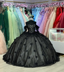Exquisite Black Tulle Ball Gown Off-Shoulder Sweetheart Neckline with Floral Appliques for Quinceanera & Evening Galas