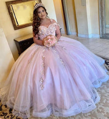 Exquisite One-Shoulder Ball Gown with 3D Floral Lace Appliques Pink Tulle Princess Dress for Quinceanera & Sweet 16