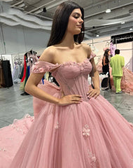 Exquisite Off-Shoulder Ball Gown with 3D Floral Lace Appliques Pink Tulle Quinceanera & Sweet 16 Dress