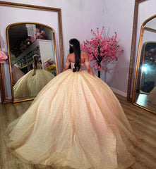 Off-Shoulder Beaded Tulle Ball Gown Princess Quinceanera & Sweet 16 Party Dress