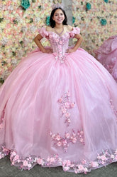 Off-Shoulder Ball Gown with 3D Floral Appliques Pink Tulle Quinceanera Dress for Princess-Themed Sweet 16 & Birthday Parties