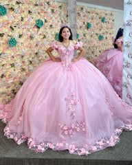 Off-Shoulder Ball Gown with 3D Floral Appliques Pink Tulle Quinceanera Dress for Princess-Themed Sweet 16 & Birthday Parties
