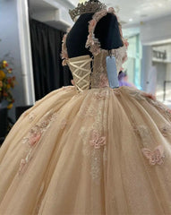 Champagne Tulle Quinceanera Dress Strapless Ball Gown with 3D Floral Lace & Sweep Train for Sweet 16 & Princess Galas