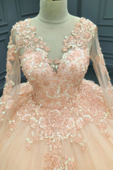 Pink Tulle Quinceanera Dress V-Neck Ball Gown with 3D Floral Appliques & Beaded Long Sleeves for Sweet 16 & Evening Galas