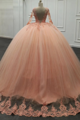 Pink Tulle Quinceanera Dress V-Neck Ball Gown with 3D Floral Appliques & Beaded Long Sleeves for Sweet 16 & Evening Galas