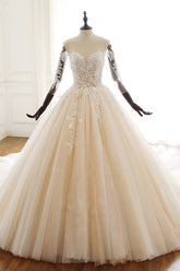 Chic V-Neck Strapless Champagne Tulle Wedding Dress Long Sleeves Appliques Bridal Gowns Online