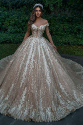 Off-the-Shoulder Champagne Wedding Dress Ball Gown With Appliques