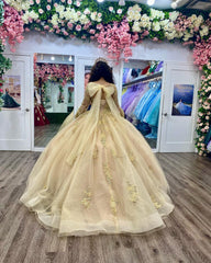 Exquisite Off-Shoulder Ball Gown Long Sleeve Lace Applique Beaded Tulle Quinceanera Dress for Sweet 16 & Formal Evenings