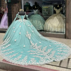 Mint Green Quinceanera Ball Gown Sparkling Tulle 3D Floral Appliques & Beaded Sweetheart Neckline for 2024