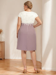 Plus Size Knee-Length Mother of the Bride A-Line Dress with V-Neck and Lace Appliques