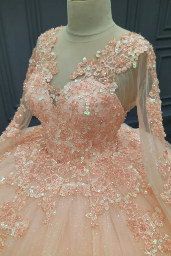 Pink Tulle Quinceanera Dress V-Neck Ball Gown with 3D Floral Appliques & Beaded Long Sleeves for Sweet 16 & Evening Galas