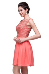 Designer Sleeveless Scoop Lace Short Homecoming Dresses
