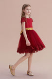 A-Line Cap Sleeve Bow Knee Length Flower Girl Dress Online