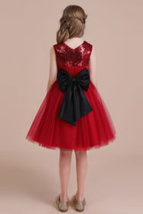 A-Line Graceful Sequins Tulle Flower Girl Dress Online