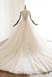 Chic V-Neck Strapless Champagne Tulle Wedding Dress Long Sleeves Appliques Bridal Gowns Online