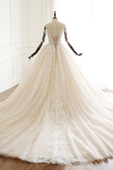 Chic V-Neck Strapless Champagne Tulle Wedding Dress Long Sleeves Appliques Bridal Gowns Online