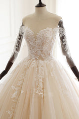 Chic V-Neck Strapless Champagne Tulle Wedding Dress Long Sleeves Appliques Bridal Gowns Online