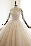 Chic V-Neck Strapless Champagne Tulle Wedding Dress Long Sleeves Appliques Bridal Gowns Online