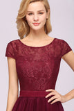 Elegant Lace Cap Sleeves Burgundy Bridesmaid Dresses Affordable