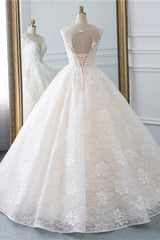 Exquisite Jewel Sleelveless Lace Wedding Dress Ball Gown appliques Bridal Gowns Online