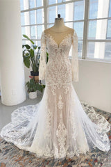 Long Sleeves Wedding Dress Mermaid Tulle Lace Appliques