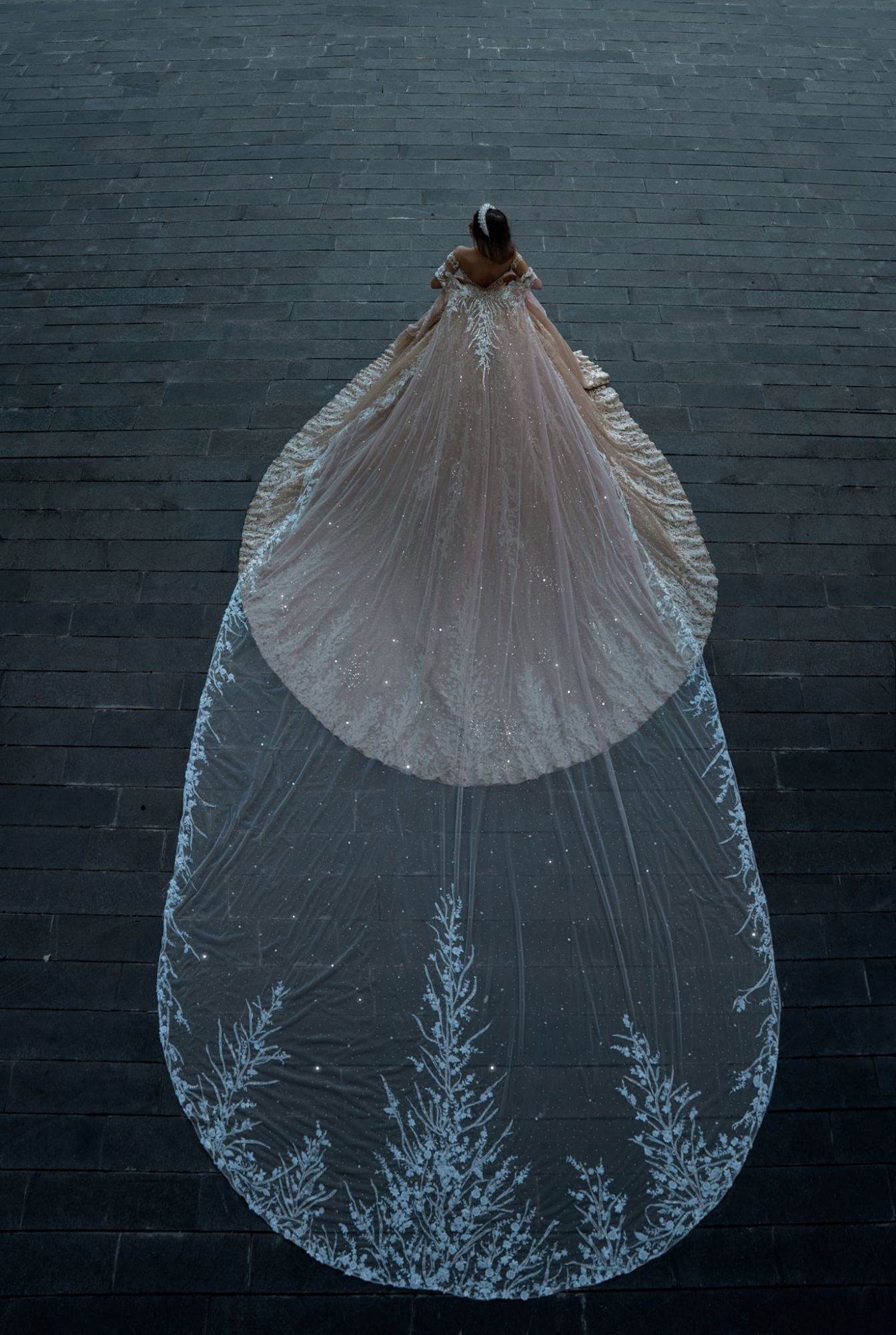 Off-the-Shoulder Champagne Wedding Dress Ball Gown With Appliques