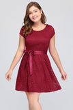 Plus Size A-Line Jewel Burgundy Lace Bridesmaid dress with Short Sleeves