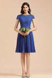 Short Sleeve Royal Blue Lace Junior Bridesmaid Dress